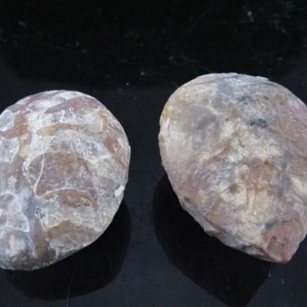 Fossil Leaf (Bringin) - Type G1 - Image 3