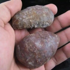 Fossil Leaf (Bringin) - Type G2