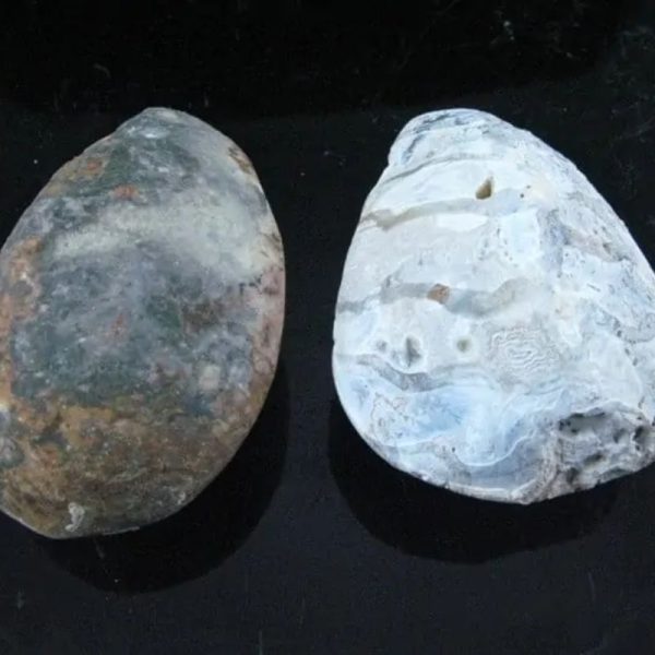 Fossil Leaf (Bringin) - Type G4 - Image 3