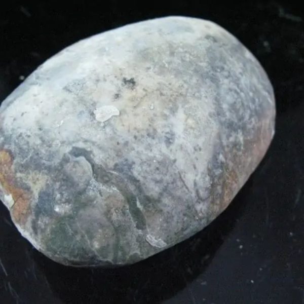 Fossil Leaf (Bringin) - Type G5 - Image 3
