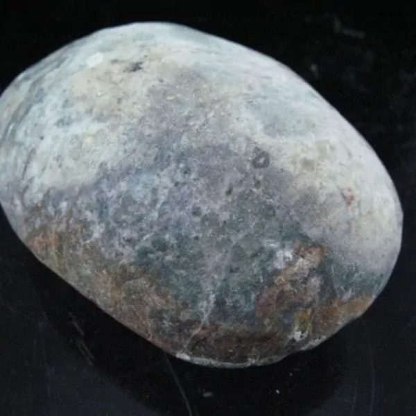 Fossil Leaf (Bringin) - Type G5 - Image 2