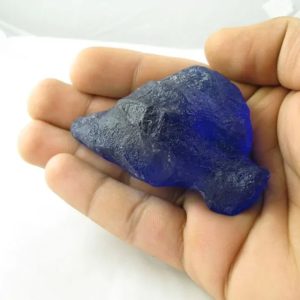 Fossilized Tunjung Biru Flower Leaf - Type A1