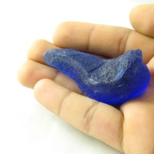 Fossilized Tunjung Biru Flower Leaf - Type A6