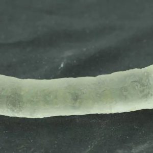 Coblong Oil Fossil - Type B