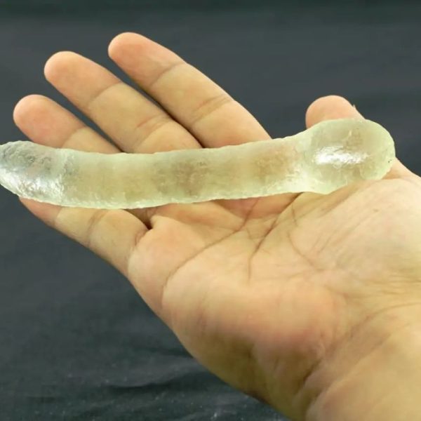 Coblong Oil Fossil - Type B