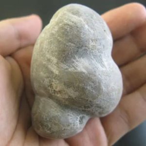 Snake Oil Fossil - Type A3