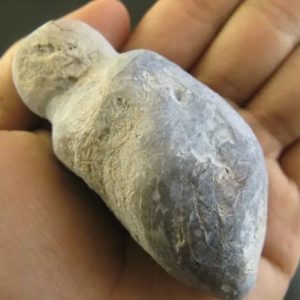Snake Oil Fossil - Type A2