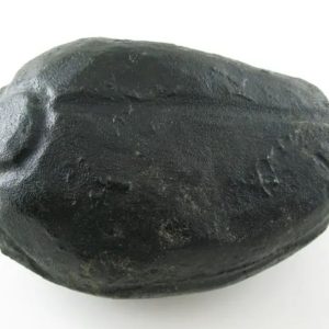 Star Oil Fossilized - A3.4