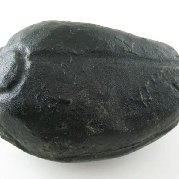 Star Oil Fossilized - A3.4