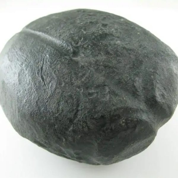 Star Oil Fossilized - A3.4 - Image 3