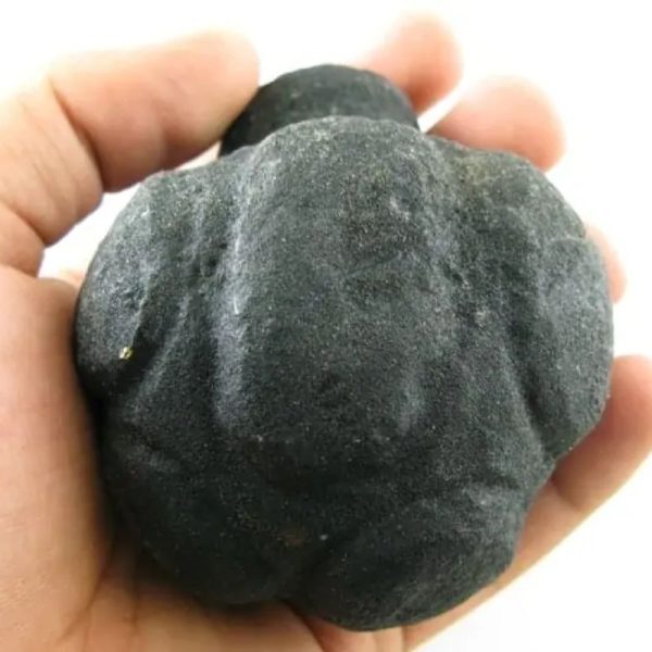Star Oil Fossilized - A3.7 - Image 2