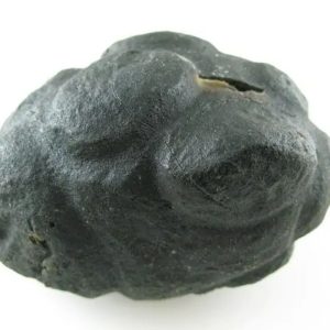 Star Oil Fossilized - A3.6