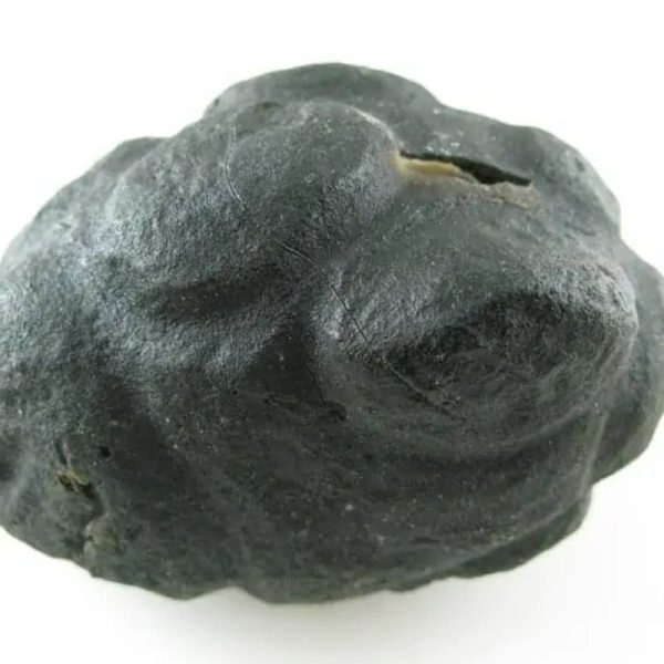 Star Oil Fossilized - A3.6