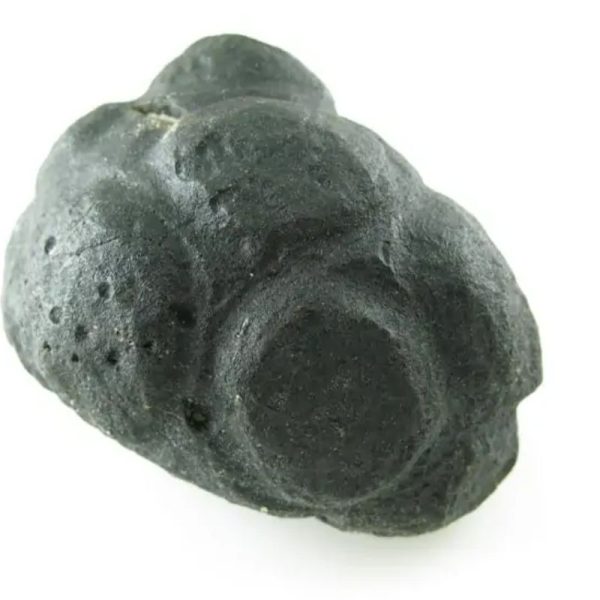 Star Oil Fossilized - A3.6 - Image 4