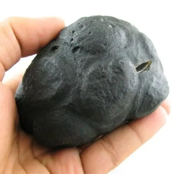 Star Oil Fossilized - A3.6 - Image 2