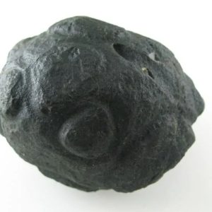 Star Oil Fossilized - A3.5