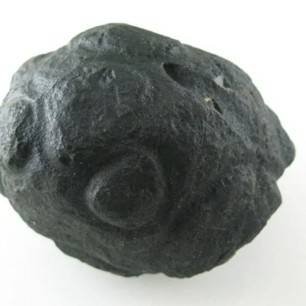 Star Oil Fossilized - A3.5
