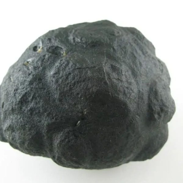 Star Oil Fossilized - A3.5 - Image 5