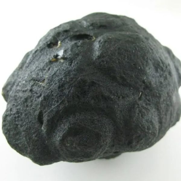 Star Oil Fossilized - A3.5 - Image 4