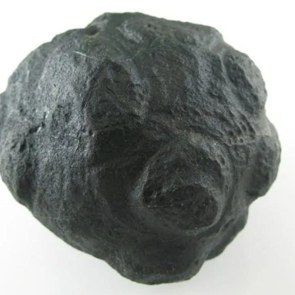 Star Oil Fossilized - A3.5 - Image 3