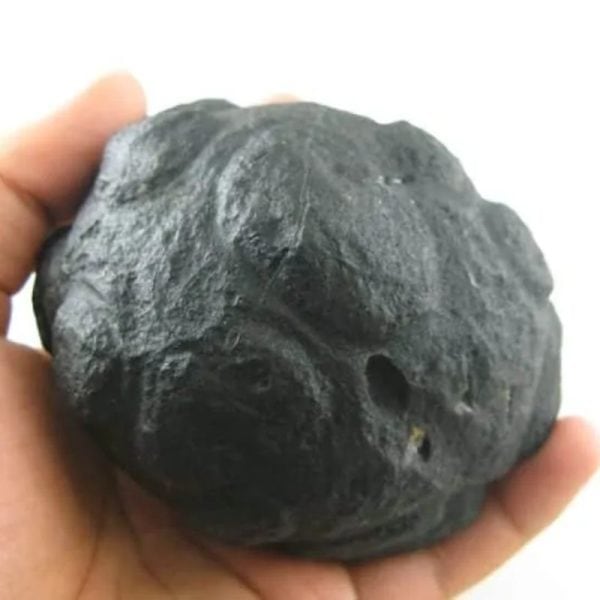 Star Oil Fossilized - A3.5 - Image 2