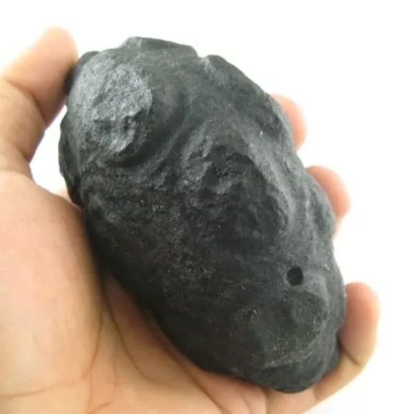 Star Oil Fossilized - A3.3 - Image 2