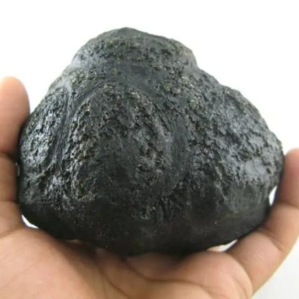 Star Oil Fossilized - A3.1 - Image 2
