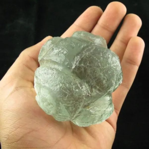 Star Oil Fossilized - A1.6 - Image 6
