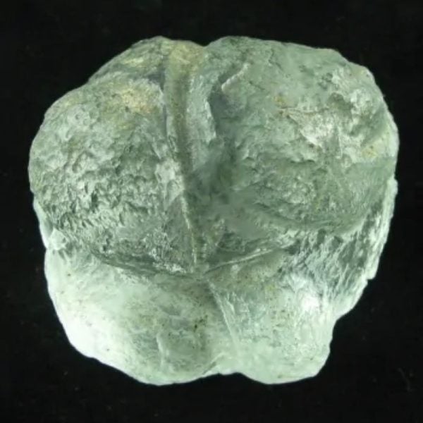 Star Oil Fossilized - A1.6 - Image 5
