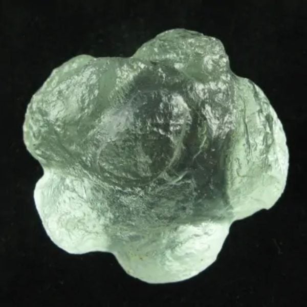 Star Oil Fossilized - A1.6 - Image 4