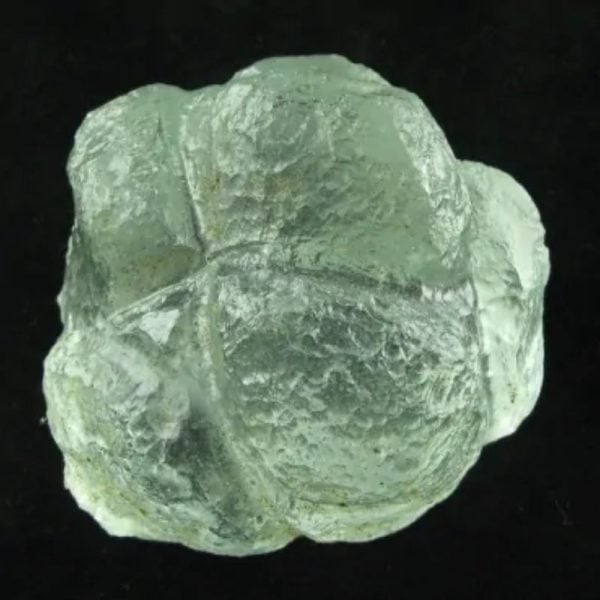 Star Oil Fossilized - A1.6 - Image 3