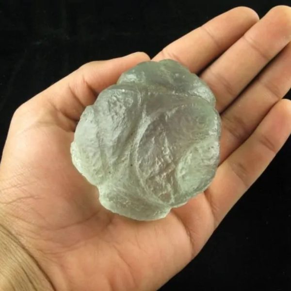 Star Oil Fossilized - A1.5