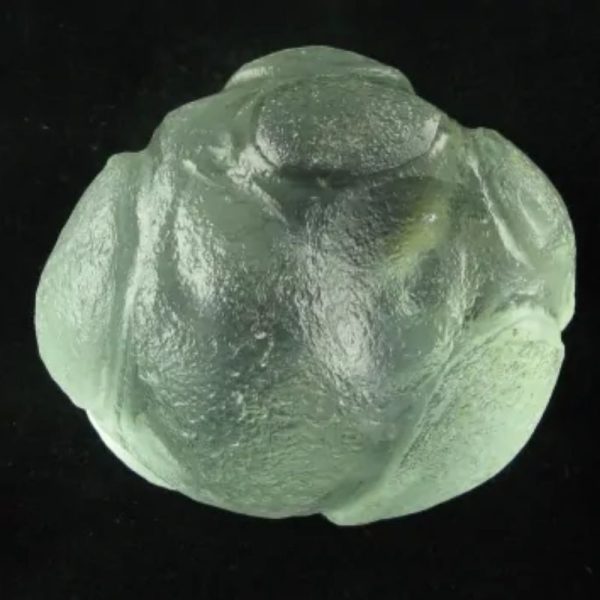 Star Oil Fossilized – A1.4 - Image 5