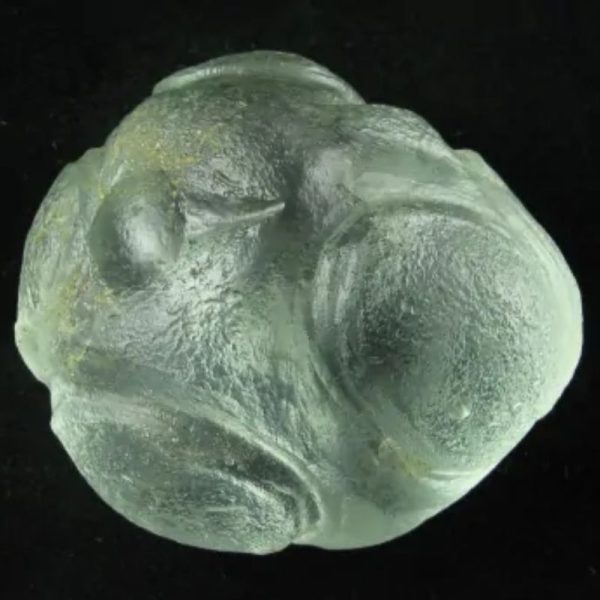 Star Oil Fossilized – A1.4 - Image 4