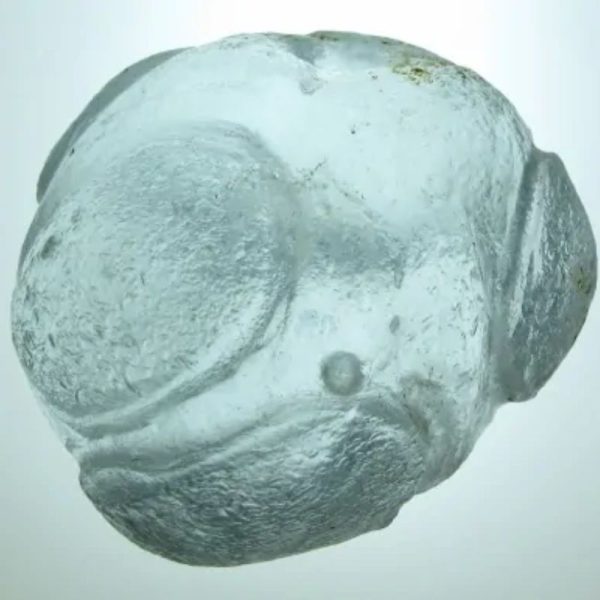 Star Oil Fossilized – A1.4 - Image 2