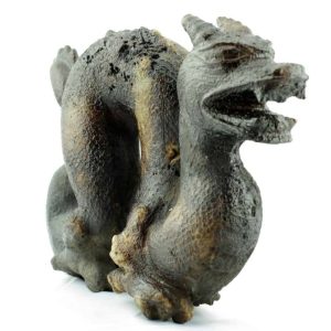 Fossilized Ancient Chinese Dragon