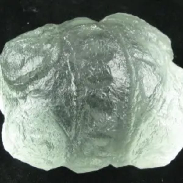 Star Oil Fossilized - A1.1 - Image 7