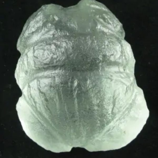 Star Oil Fossilized - A1.1 - Image 5