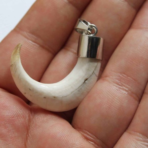 Orang Utan Claw