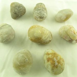 Fossilized Tiger Testicle Pearl - Type G