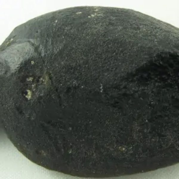 Fossilized Tiger Testicle Pearl - Type B - Image 4