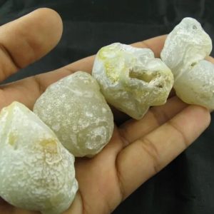 Fossilized Tiger Testicle Pearl - Type D1.2