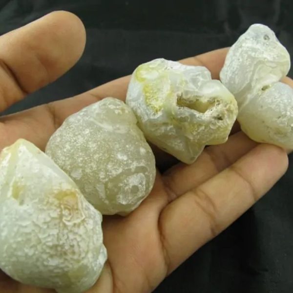 Fossilized Tiger Testicle Pearl - Type D1.2