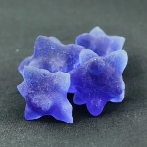Fossilized Tunjung Biru Flower - Type C1