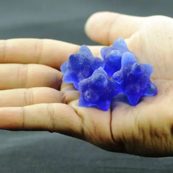 Fossilized Tunjung Biru Flower - Type C1