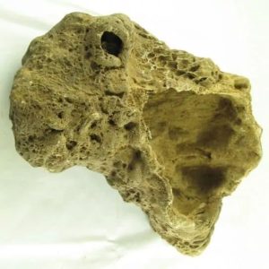 Fossilized Ants' Nest - Type B