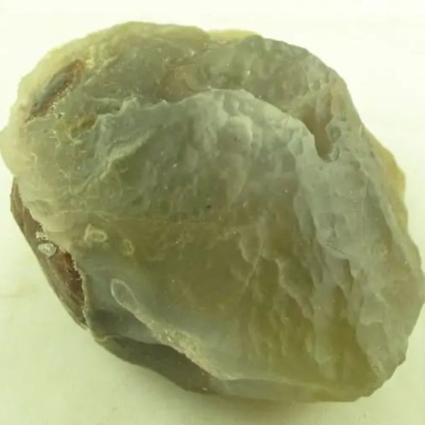 Fossilized Mushroom - Type A - Image 6