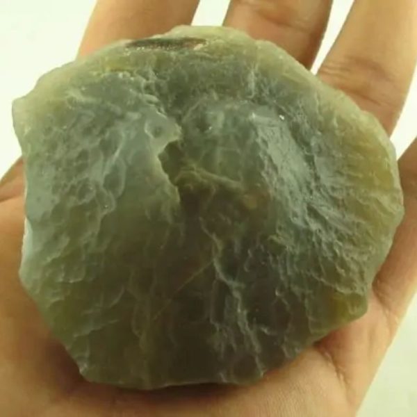 Fossilized Mushroom - Type A - Image 3