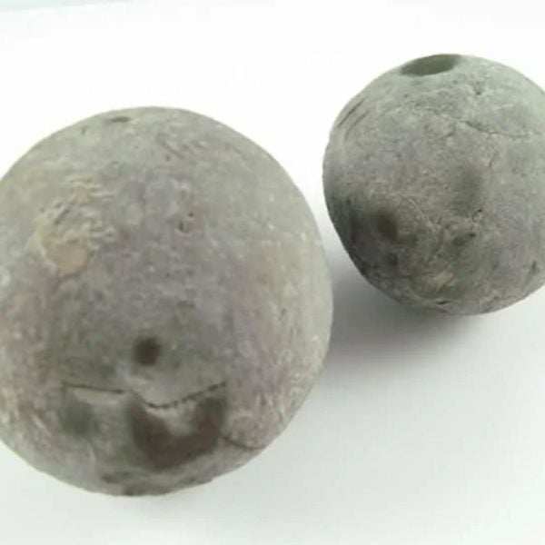 Potato Fossil - Type A - Image 3