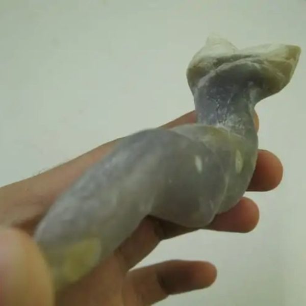 Cave Eel Fossil - Type B1 - Image 4